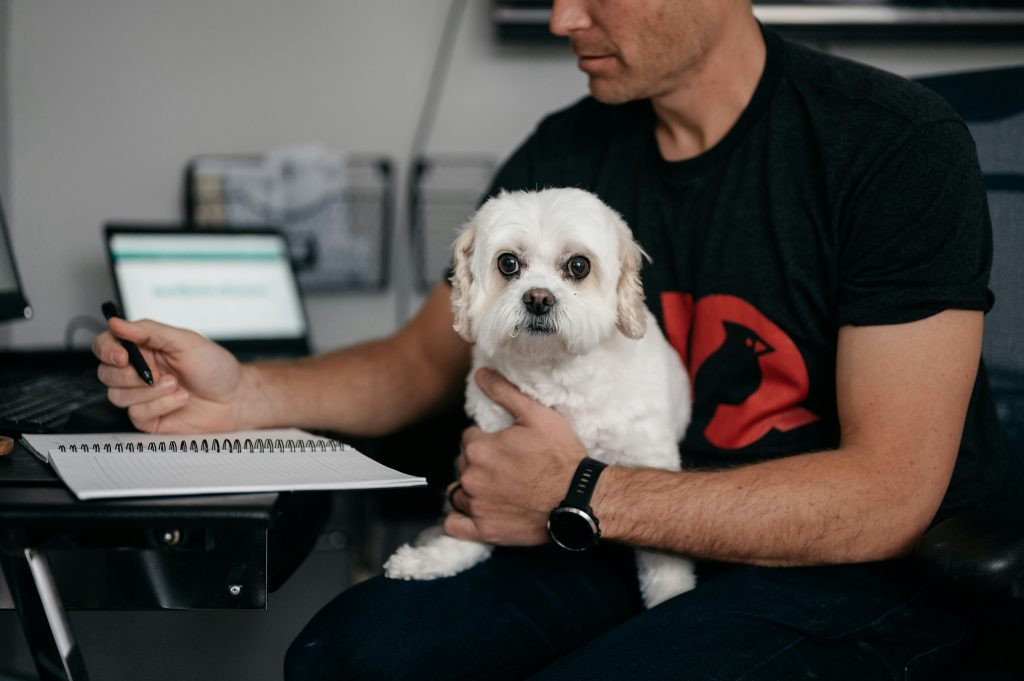 Dogs Make Offices More Welcoming