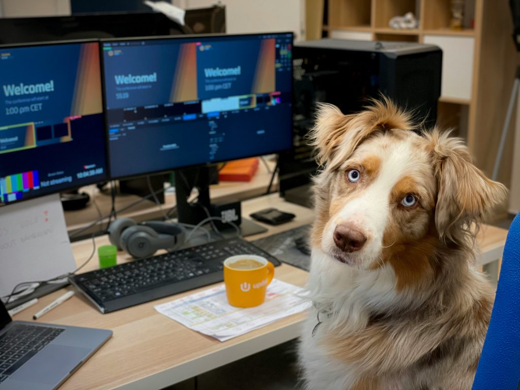 Dogs Make Offices More Welcoming