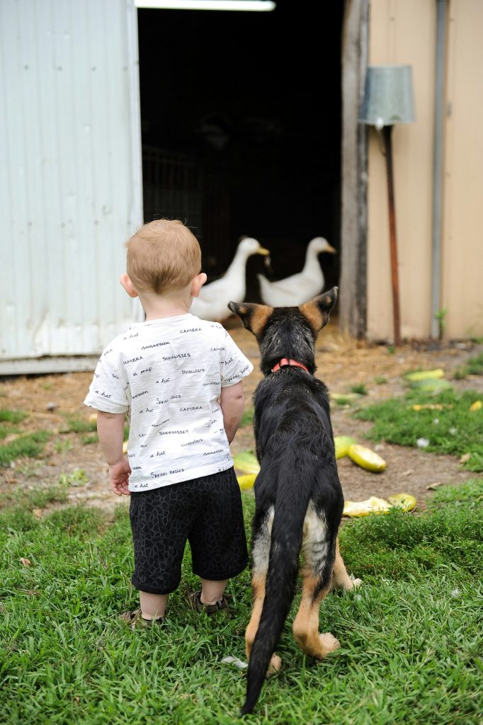 Dogs Help Kids Learn Empathy and Compassion
