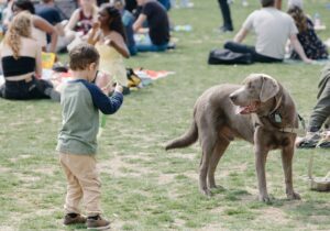 Dog Parks, Daycares, and Playdates: What You Need to Know