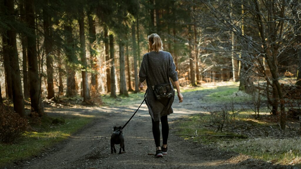 The Mental Workout: How Walks Stimulate Your Dog’s Brain