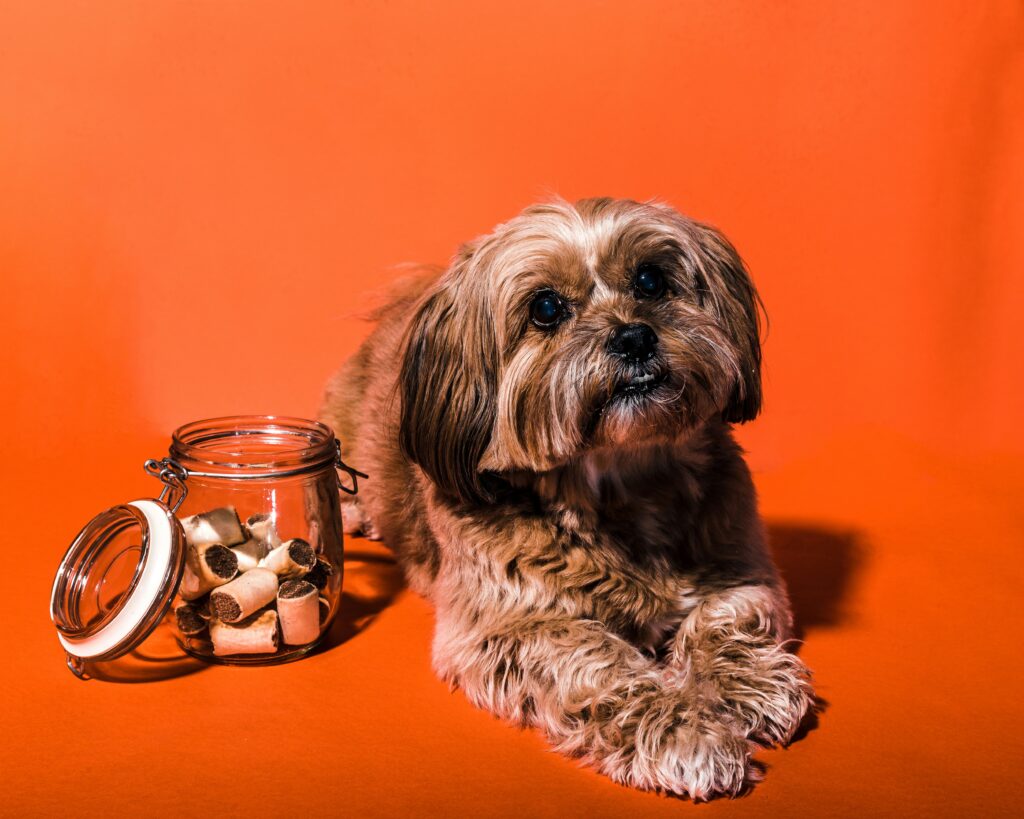 What ‘Natural Flavor’ Really Means on a Dog Treat Label