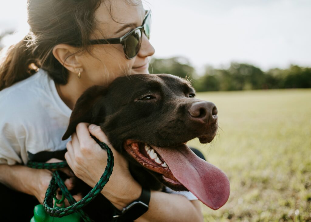 Quality Time: Why Your Dog Just Wants to Be Near You