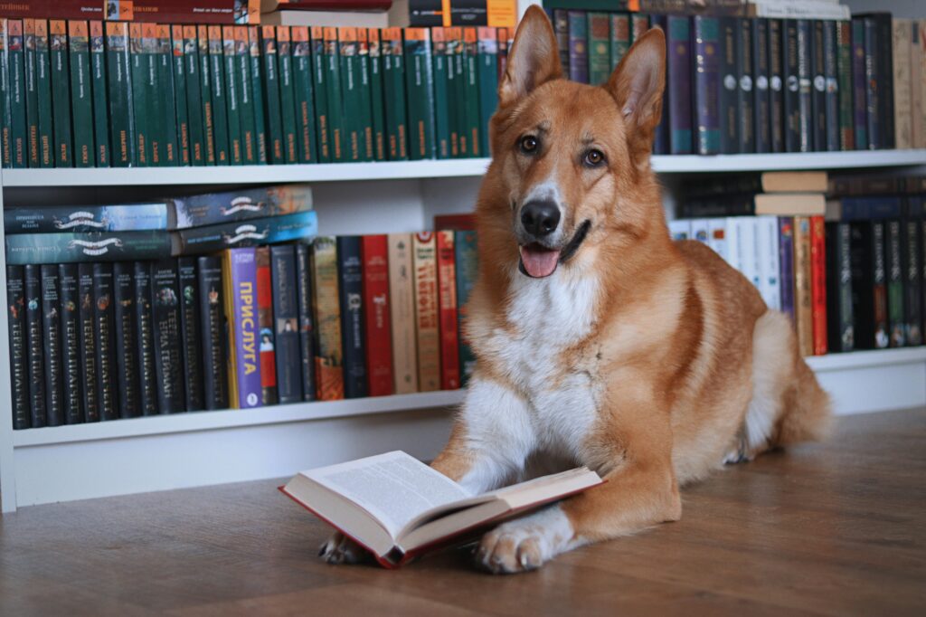 Training Smarter, Not Harder