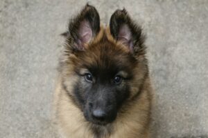 Training Smarter, Not Harder