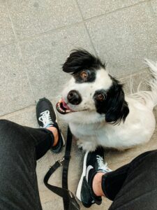 Common Challenges During the 3-3-3 Rule (and How to Help)